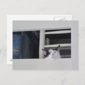 Schöne Aussicht Postkarte (Vorne/Hinten)