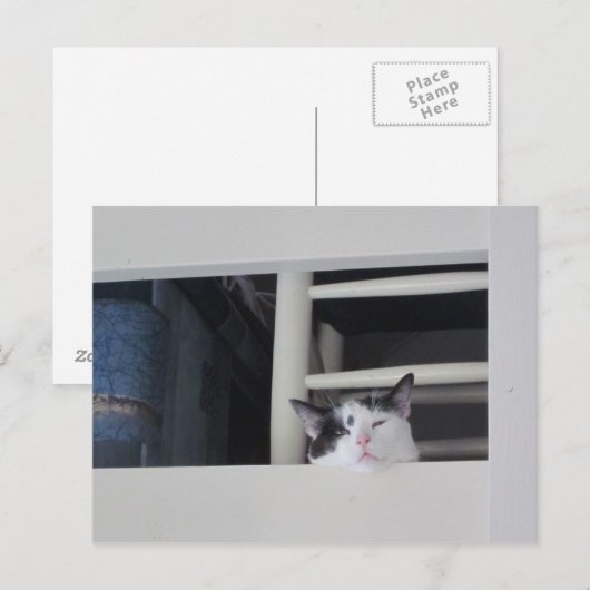 Schöne Aussicht Postkarte (Vorne/Hinten)