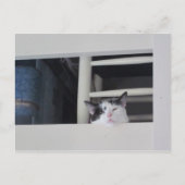 Schöne Aussicht Postkarte (Vorderseite)