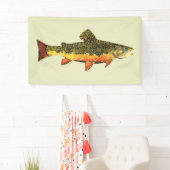 Schöne Bachforelle Banner (Insitu)