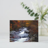 Schöne Bachlandschaft Postkarte (Stehend Vorderseite)