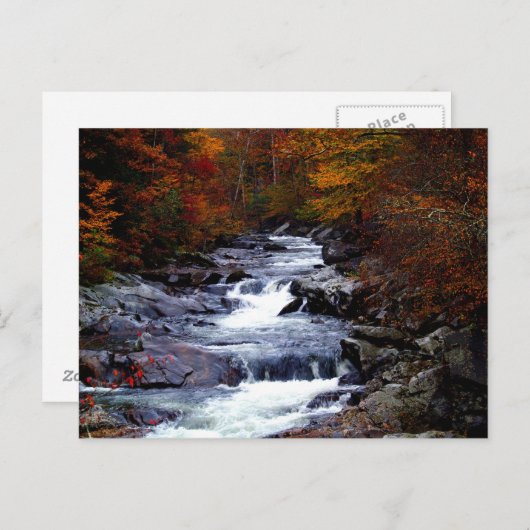 Schöne Bachlandschaft Postkarte (Vorne/Hinten)