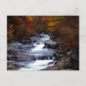 Schöne Bachlandschaft Postkarte (Vorderseite)