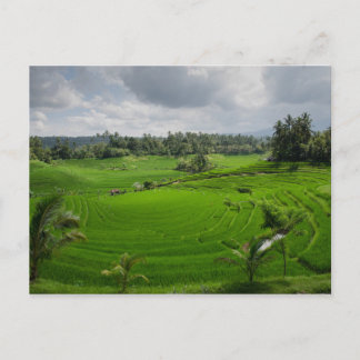 Schöne Bali Landschaft Postkarte