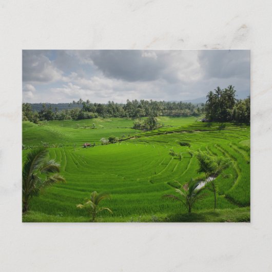 Schöne Bali Landschaft Postkarte (Vorderseite)