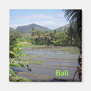 Schöne Bali-Reispaddys Magnet