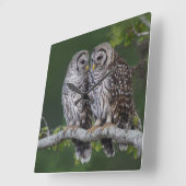 Schöne Barred Owls Wildlife Wall Clock Quadratische Wanduhr (Winkel)