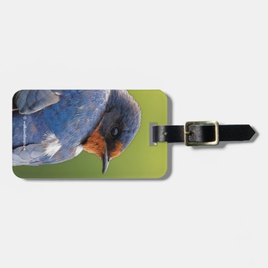 Schöne Barschschlucht Gepäckanhänger (Vorderseite horizontal)