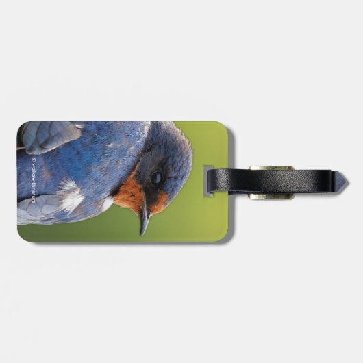 Schöne Barschschlucht Gepäckanhänger (Rückseite horizontal)