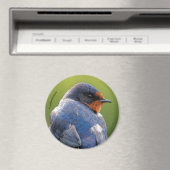 Schöne Barschschlucht Magnet (In Situ (Geschirrspüler))