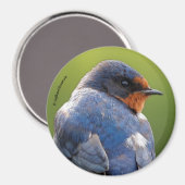 Schöne Barschschlucht Magnet (Vorderseite/Rückseite)