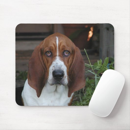 Schöne Basset Hound-Mausunterlage Mousepad (Mit Mouse)