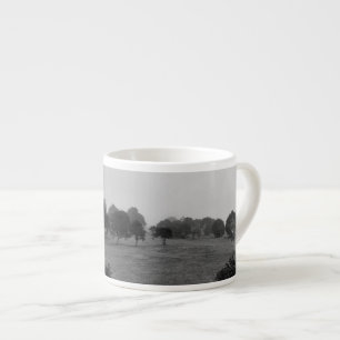 Schöne Bäume und Natur im Nebel Espressotasse