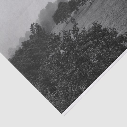 Schöne Bäume und Natur im Nebel Seidenpapier (Ausschnitt)