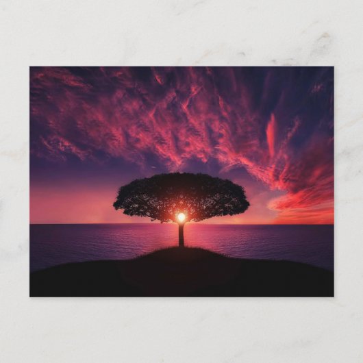 Schöne Baumkulisse und farbenfrohe Landschaft Postkarte (Vorderseite)