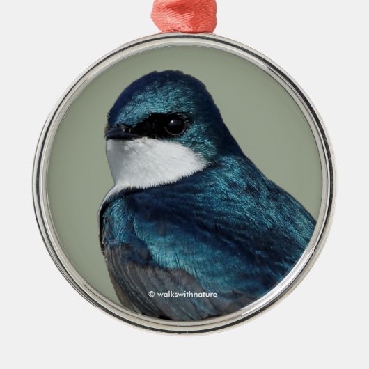 Schöne Baumschlucht Blue Songbird Ornament Aus Metall (Vorne)
