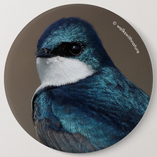 Schöne Baumschlucht: Vogel auf einer Leitung Button (Vorderseite)