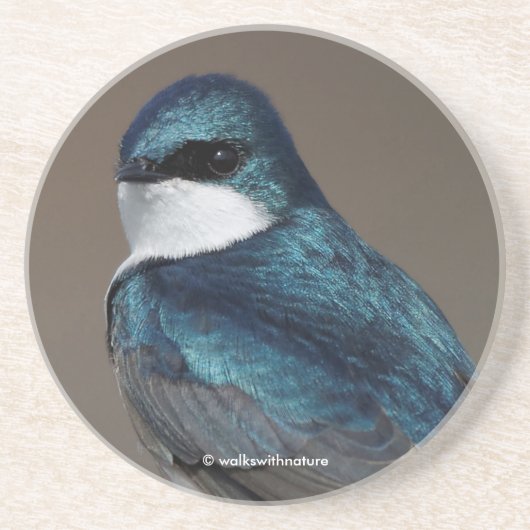 Schöne Baumschlucht: Vogel auf einer Leitung Getränkeuntersetzer (Vorne)