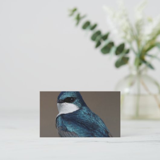 Schöne Baumschlucht: Vogel auf einer Leitung Visitenkarte (Stehend Vorderseite)