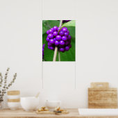 Schöne Beautyberry Print Poster (Küche)