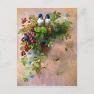 Schöne Beerentrauben und Blaue Vögel Postkarte