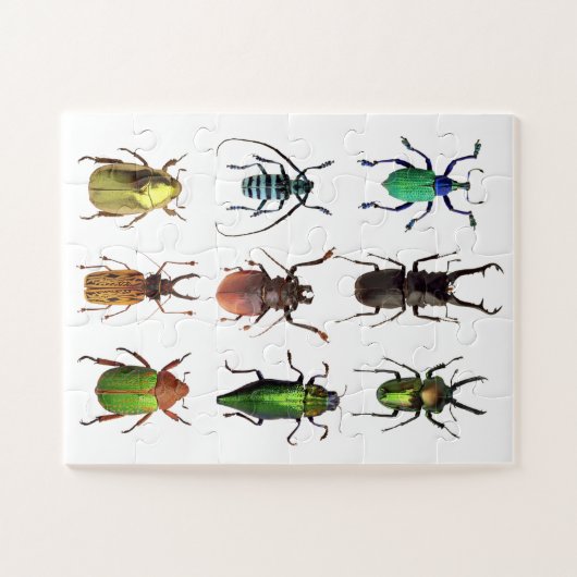 Schöne Beetlemanie Schöne Beetle Bugs Puzzle (Horizontal)