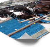 Schöne belgianische Arbeitspferde Poster (Ecke)