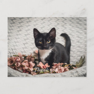 Schöne Bella Rose Dankeschön-Postkarte Postkarte