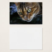 Schöne Bengalische Katze (Vorne & Hinten)