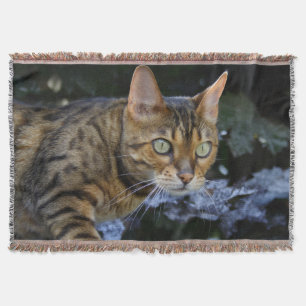 Schöne Bengalische Katze Decke