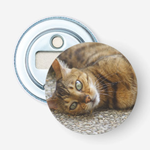 Schöne Bengalische Katze Flaschenöffner