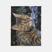 Schöne Bengalische Katze Fleecedecke (Vorderseite)
