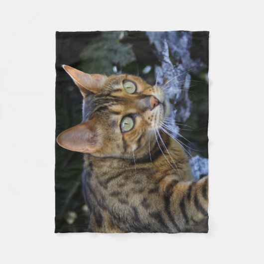 Schöne Bengalische Katze Fleecedecke (Vorderseite)