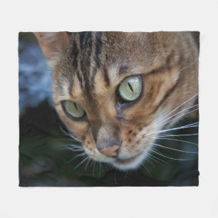 Schöne Bengalische Katze Fleecedecke