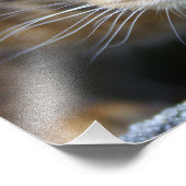 Schöne Bengalische Katze Fotodruck (Ecke)