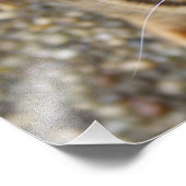 Schöne Bengalische Katze Fotodruck (Ecke)