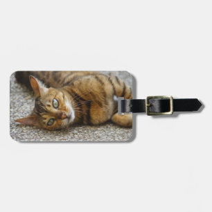 Schöne Bengalische Katze Gepäckanhänger
