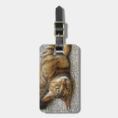 Schöne Bengalische Katze Gepäckanhänger (Vorderseite vertikal)