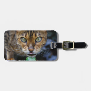 Schöne Bengalische Katze Gepäckanhänger