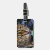 Schöne Bengalische Katze Gepäckanhänger (Vorderseite vertikal)