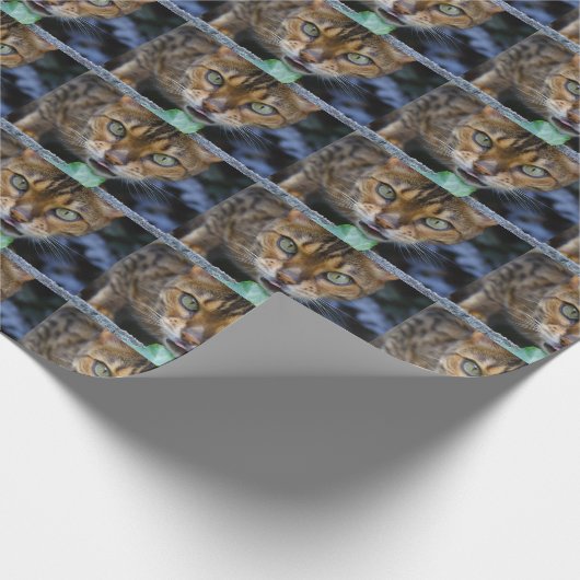 Schöne Bengalische Katze Geschenkpapier (Ecke)