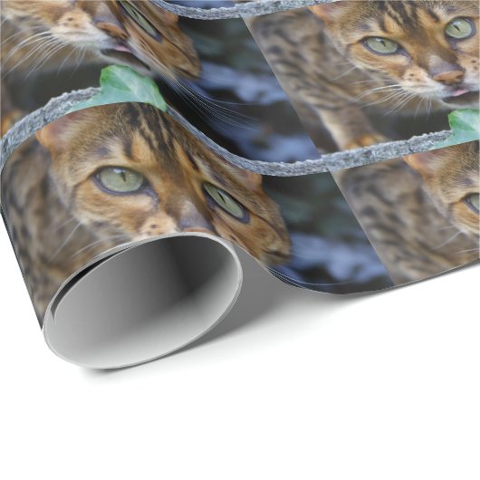 Schöne Bengalische Katze Geschenkpapier (Rolleneckpunkt)