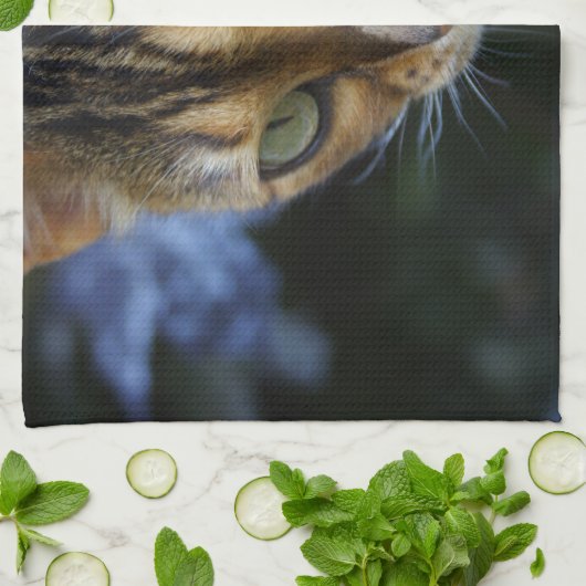 Schöne Bengalische Katze Geschirrtuch (Gefaltet)