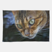 Schöne Bengalische Katze Geschirrtuch (Horizontal)