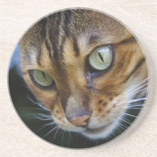 Schöne Bengalische Katze Getränkeuntersetzer (Vorne)
