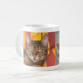 Schöne Bengalische Katze Kaffeetasse (Vorderseite Links)