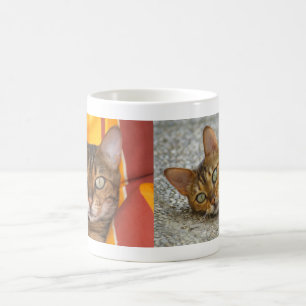 Schöne Bengalische Katze Kaffeetasse
