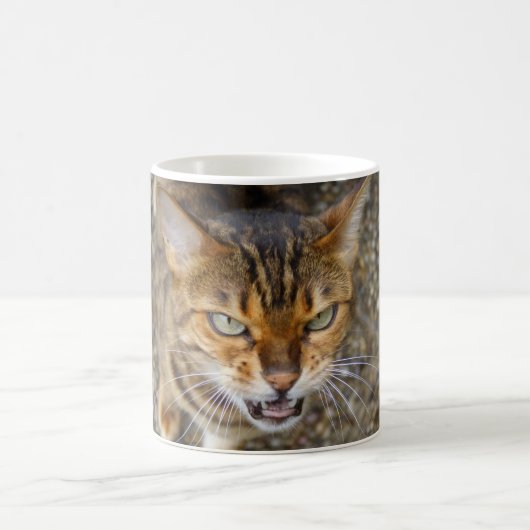 Schöne Bengalische Katze Kaffeetasse (Mittel)