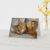 Schöne Bengalische Katze Karte (Gelbe Blume)