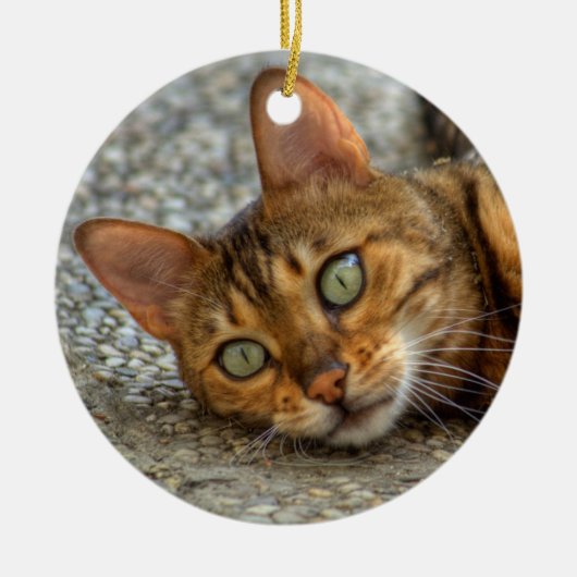 Schöne Bengalische Katze Keramikornament (Vorne)